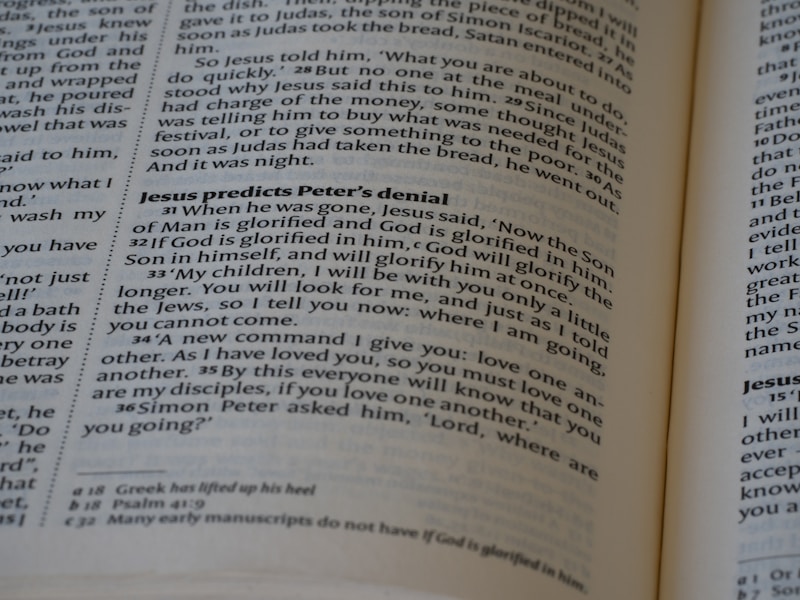 Criminal Law And The Presumption Of Innocence Protecting Defendants Against Wrongful Convictions